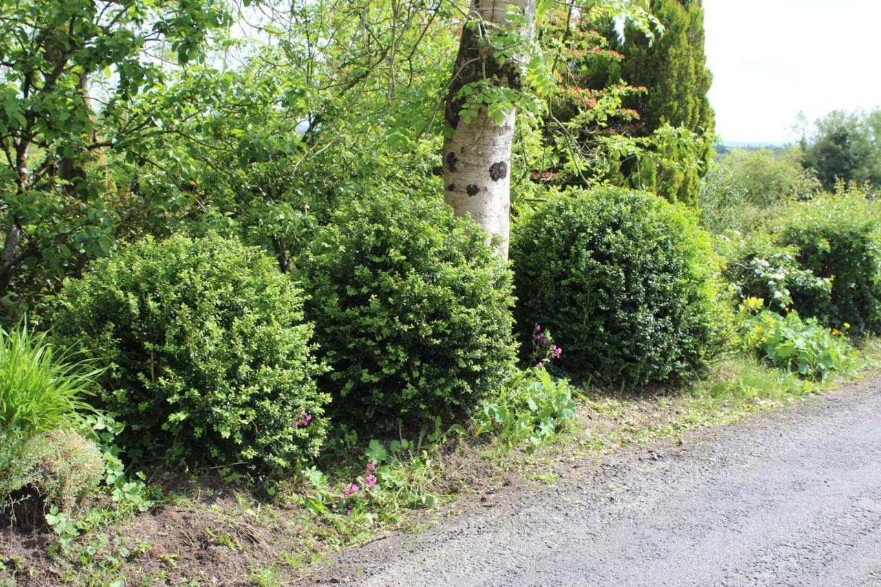 Ketty'S Cottage Rosslea Zewnętrze zdjęcie